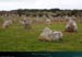 20190316_carnac_alignements_menec2