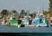 20040411_golfemorbihan_portdebellevue