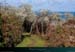 20190317_groix_cn_cotedekervilio3