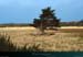 19940400_groix_landesud