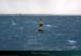 20190317_groix_courreaux1