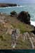 20190317_groix_cs_stnicolas_ptesw1