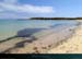 20150715_houat_plagetreachergourhed_erbeg1