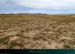 20150715_houat_pteental_lande