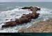 20190316_cotesau_ptebegenaudmenbihan05
