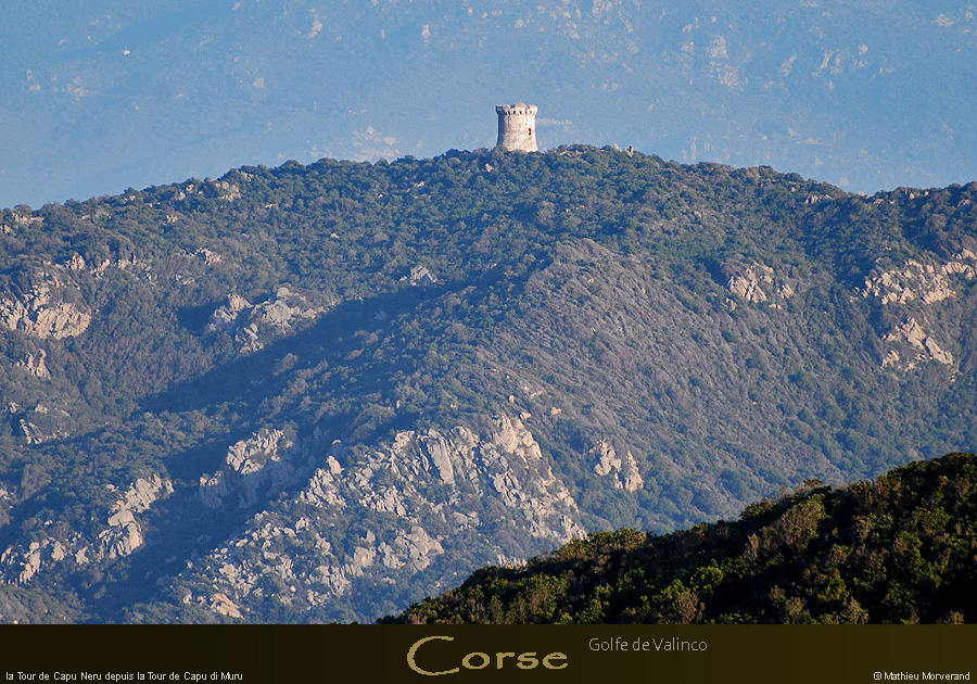 20080401_tg09mm.