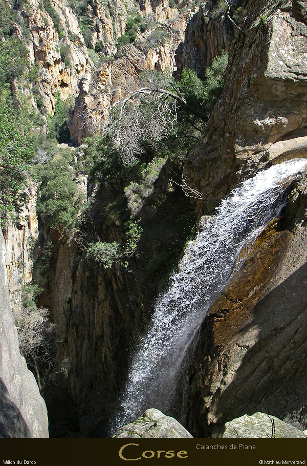 20080405_imgp3499