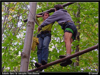 canopeeidf_02