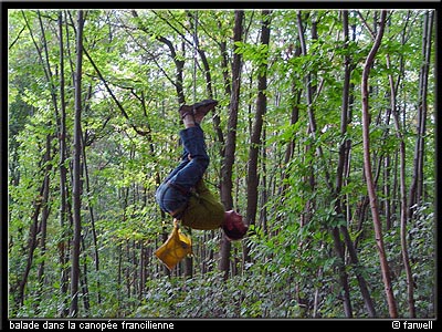canopeeidf_05
