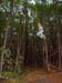 canopeeidf_04