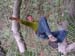 canopeeidf_10
