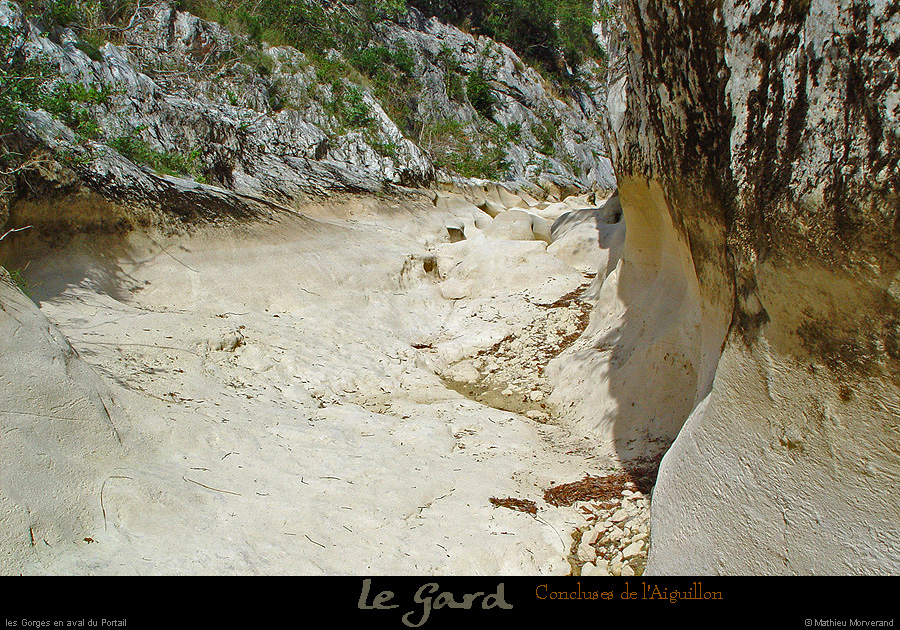 20040829_conclusesdelaiguillon_09_2
