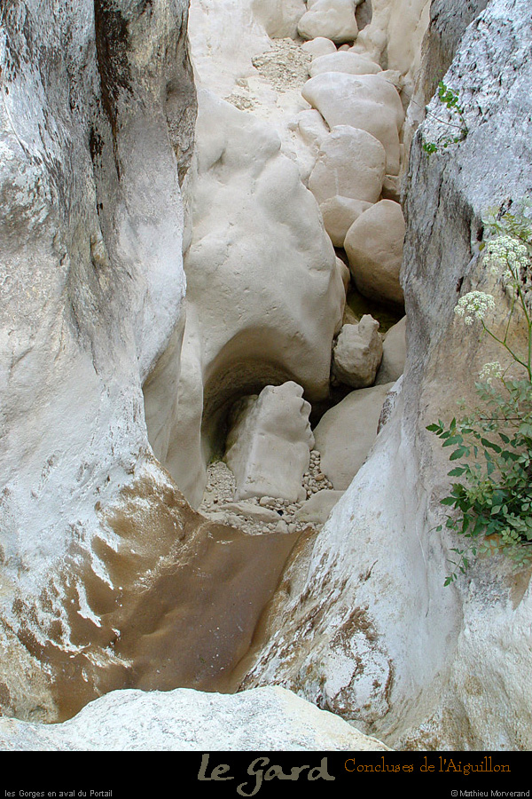 20040829_conclusesdelaiguillon_12_2