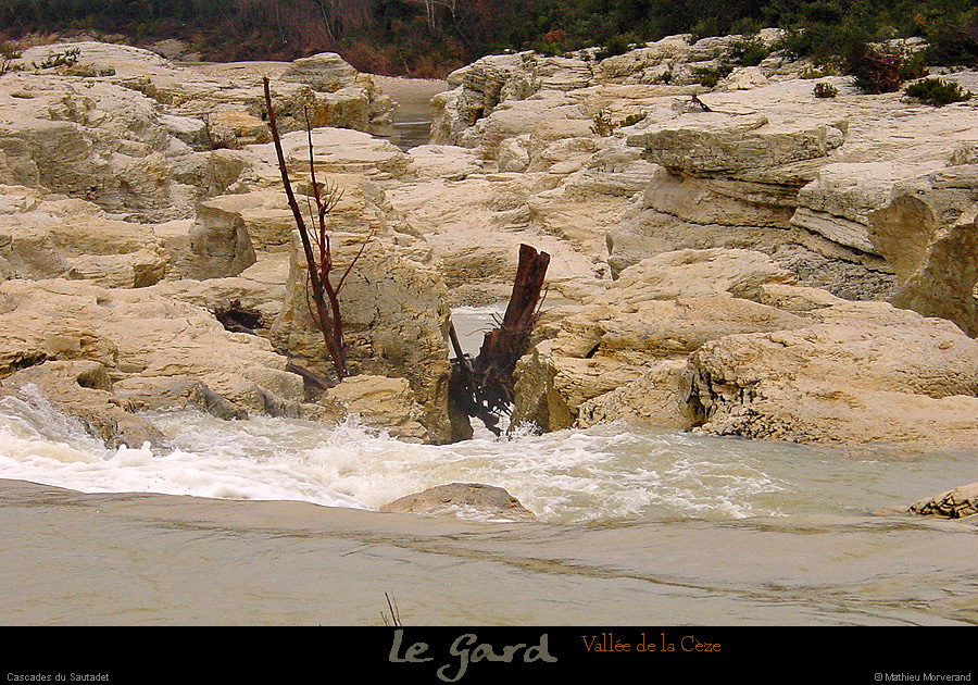 20031228_cascadedesautadetparlamont_tronc_1