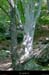 20020721_canyonroujanel_environs_3
