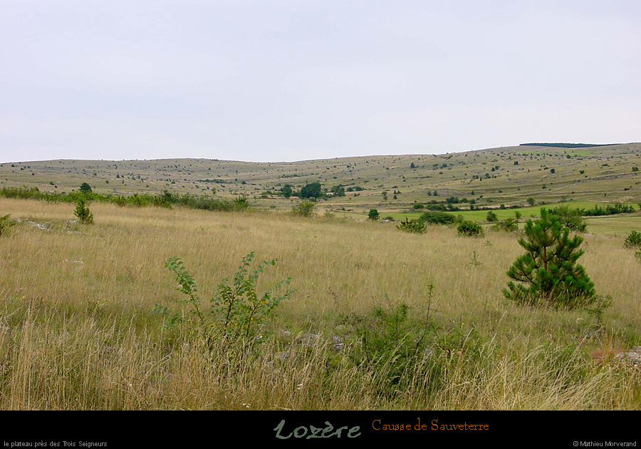 20010816_caussedesauveterre_2