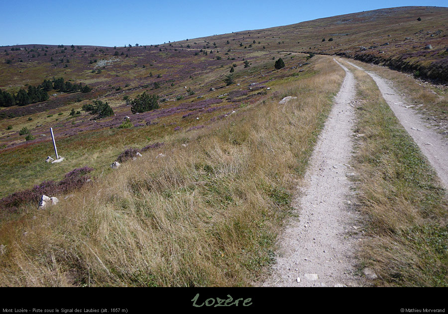 20100911_mtlozere_pistesslesignaldeslaubies1