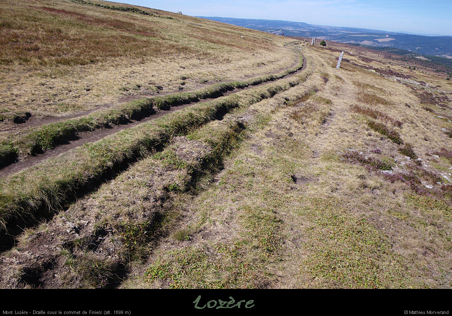 20100911_mtlozere_tracestevensonsousfiniels2