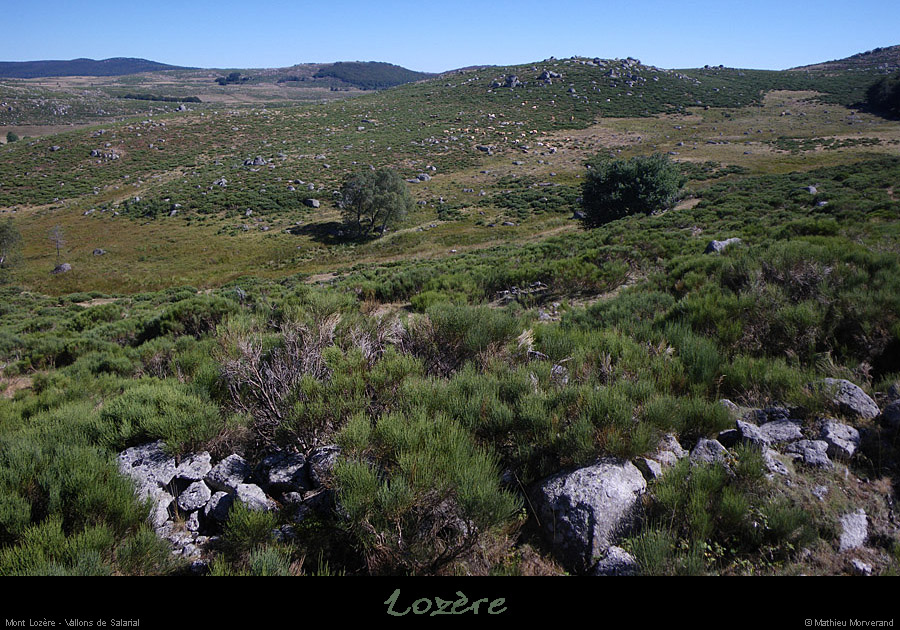 20100911_mtlozere_vallonsdelhopital1