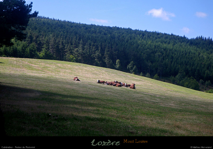 20110804_cubierettes_pentesdeplomoniol