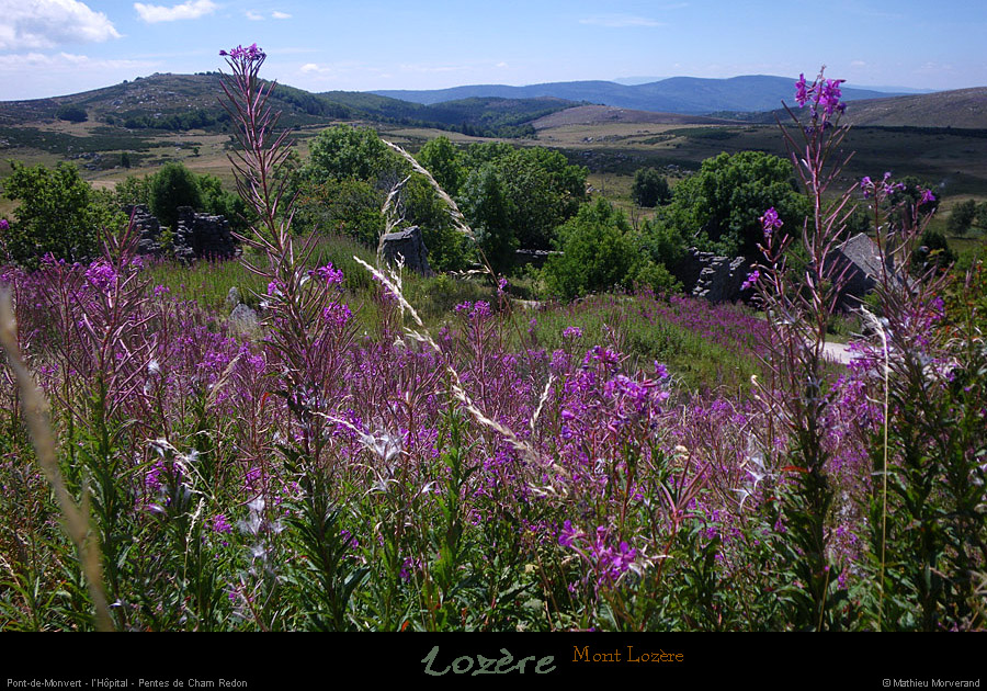 20110804_ptdemontvert_mtlozere_lhopital_pentesdechamredon