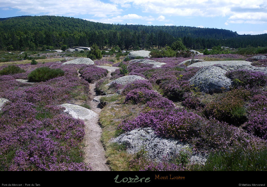 20110804_ptdemontvert_mtlozere_pentespresduptdutarn1