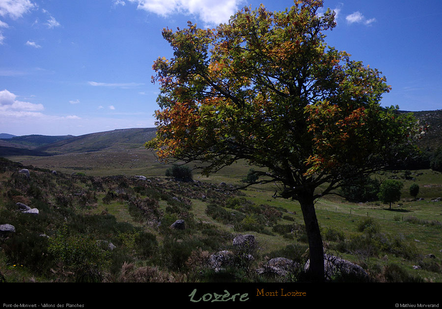 20110804_ptdemontvert_mtlozere_vallondesplanches1