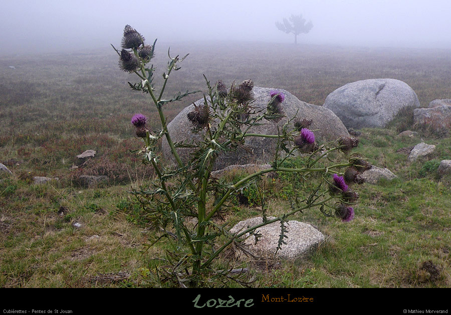 20110911_cubierettes_pentesdestjouan