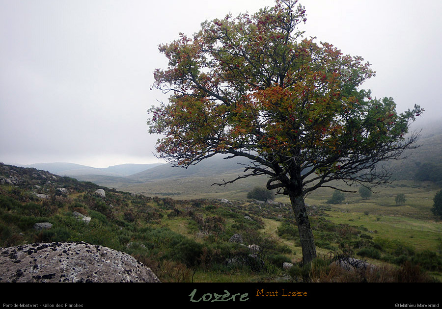20110911_ptdemontvert_mtlozere_vallondesplanches2