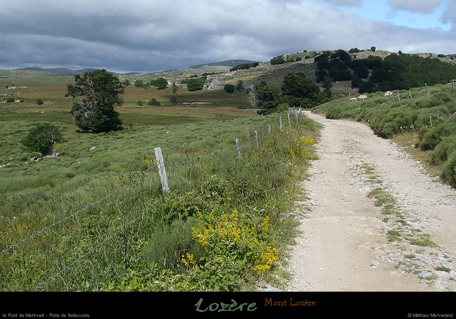 20120715_ptdemontvert_pistedebellecoste2