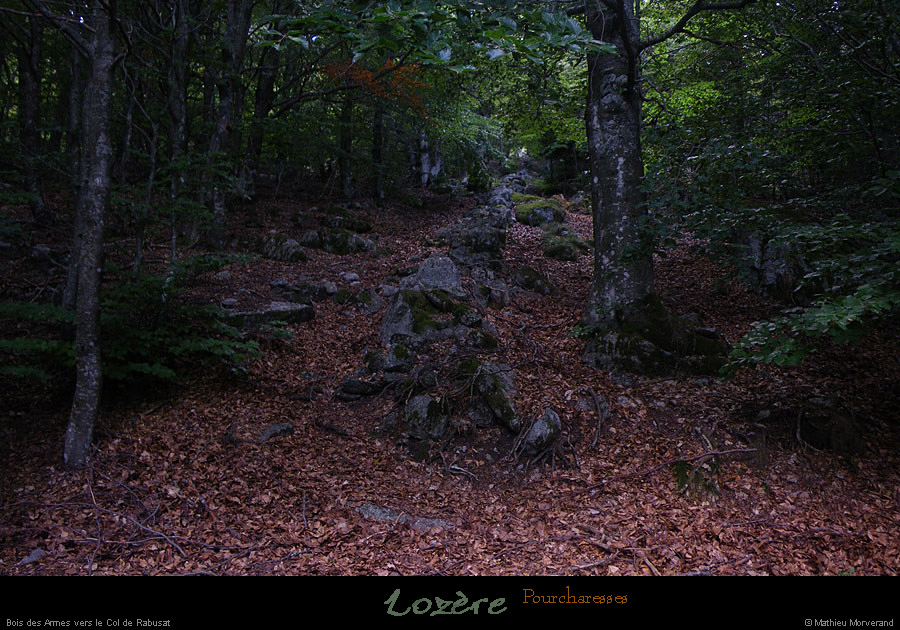 20110804_pourcharesses_boisdesarmes