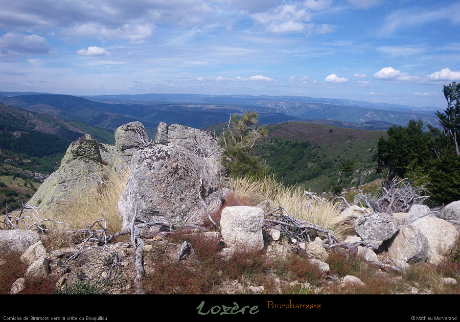 20110804_pourcharesses_cornichedebiramont