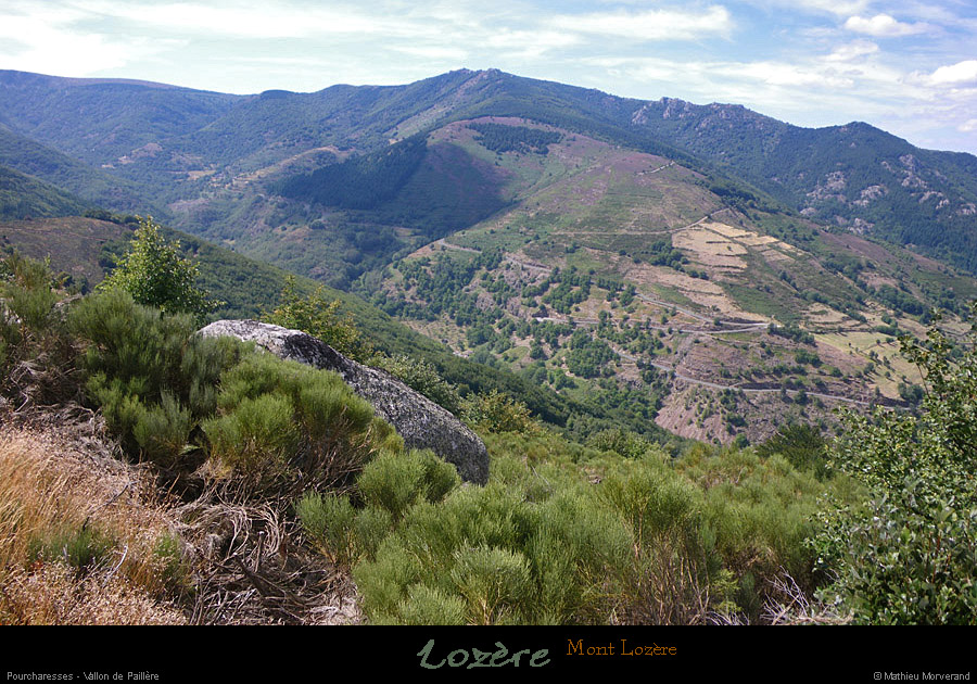 20110804_pourcharesses_vallondepailleredepuisbiramont