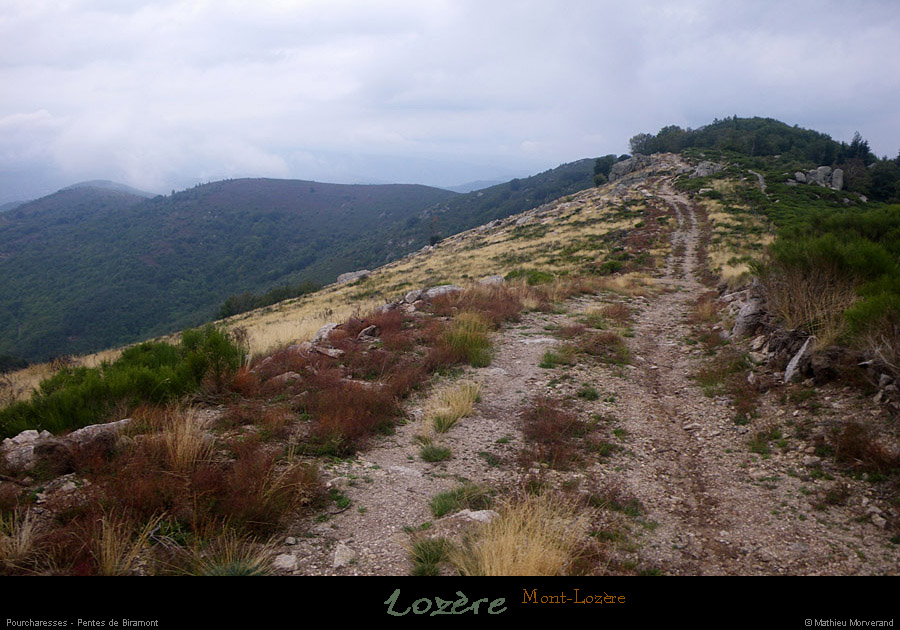 20110911_pourcharesses_pentesdebiramont