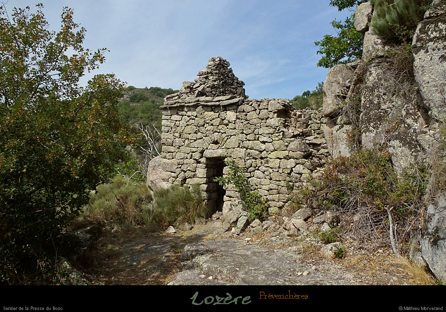 20120812_prevencheres_sentedelapressedubosc
