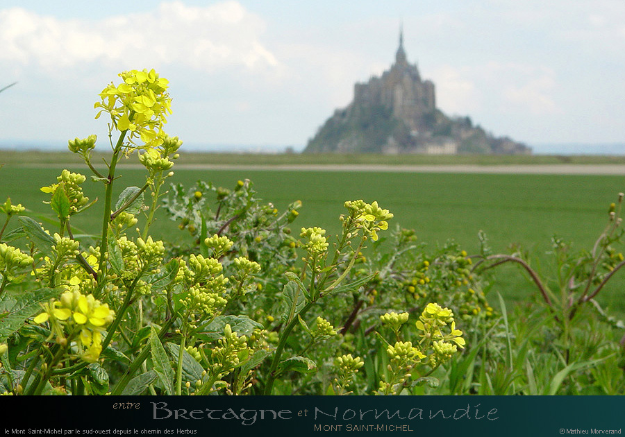 20040409_montstmichelparlesw_07