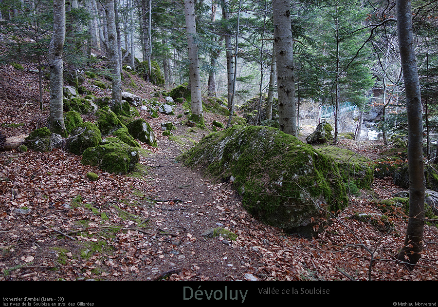 20170223_valleesouloise_gillardeschemin