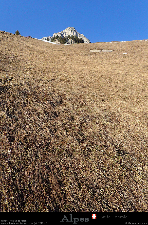 20190225_passyvaranpentes09