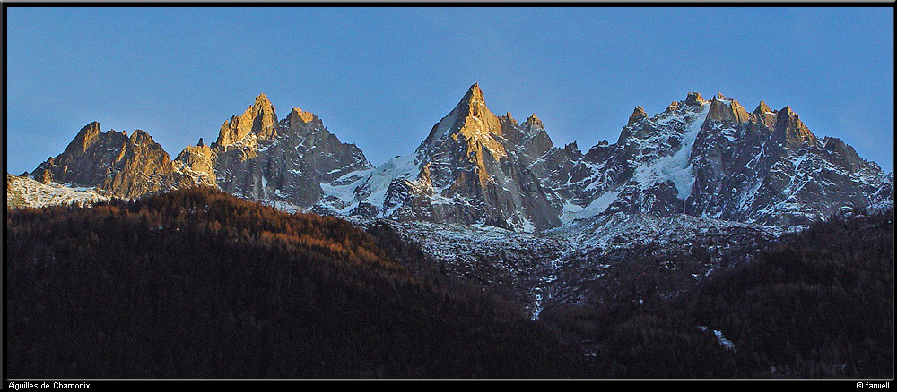 20041214_decham_02