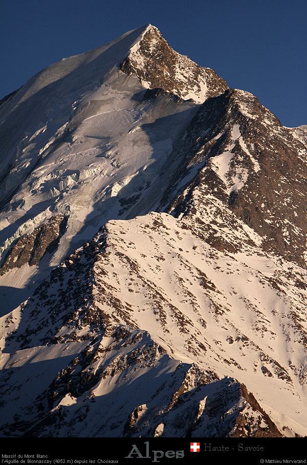 20190224_bionassayaiguille2