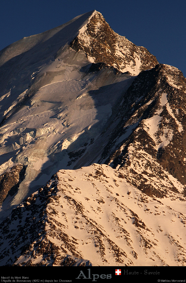 20190224_bionassayaiguille3