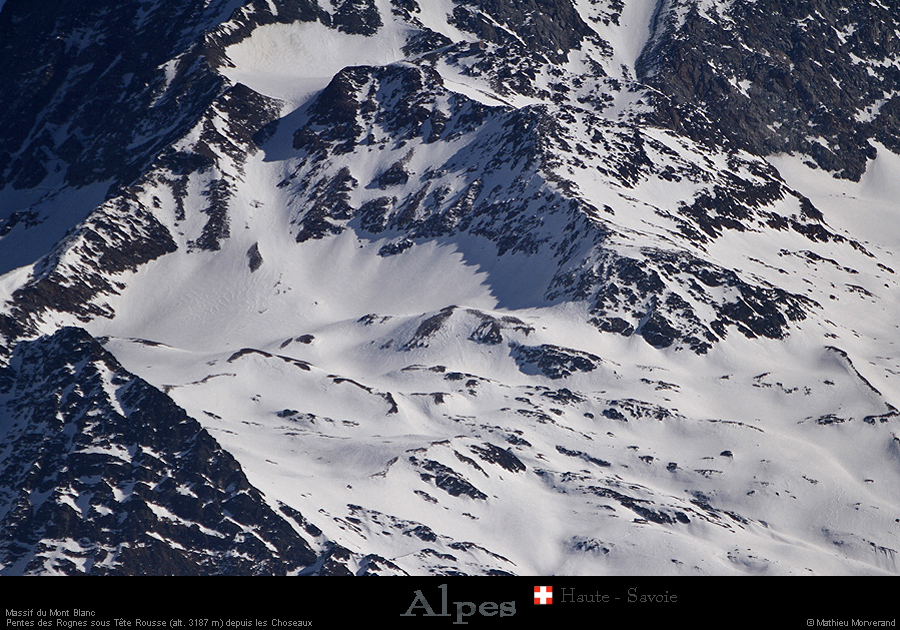 20190225_teteroussedeschoseaux