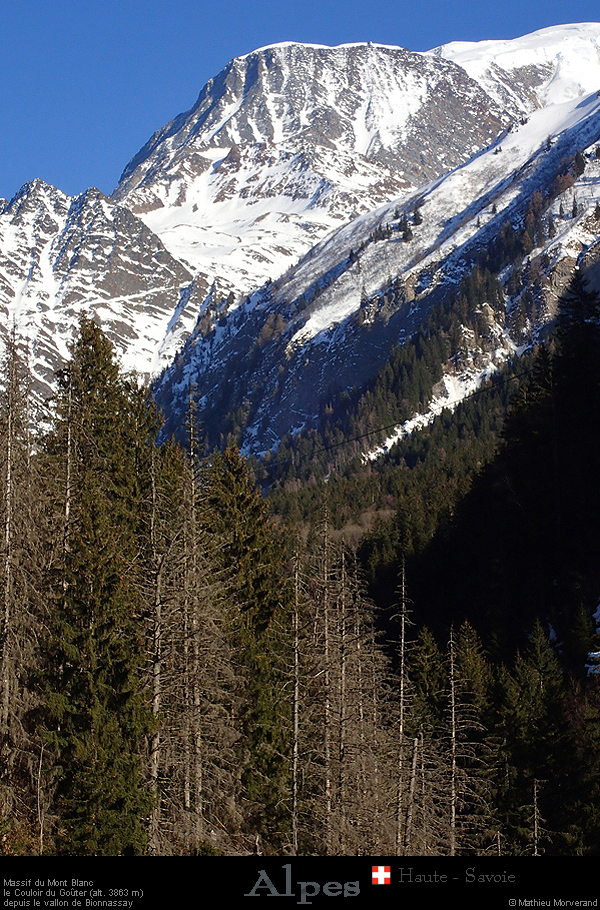 20190227_gouterdepuisvallonssbionnassay