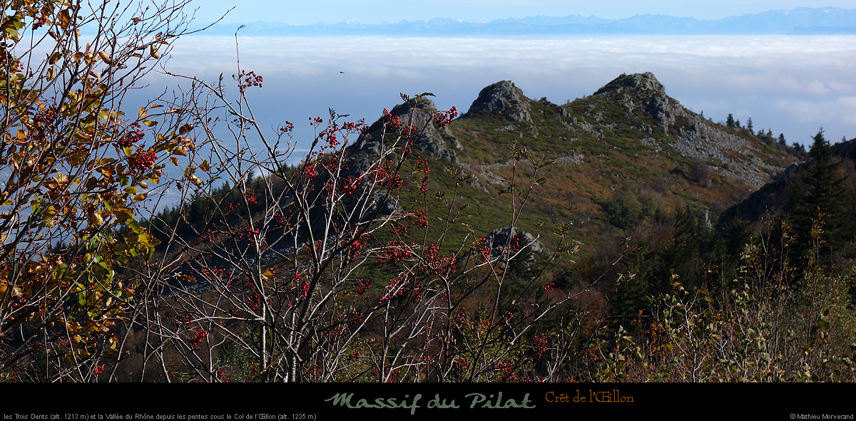 20181025_oeilllon_col_pano_3dents5