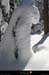 20050130_bois_de_sardieres_neige_en_forme_3