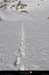 20050131_150_fond_daussois_vers_le_nord_traces