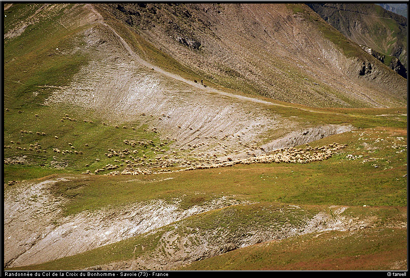 20030801_bonhomme_13