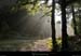 20090927_foretgeve2