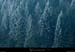 20011217_foretdeengins_3