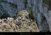 20090927_cornichebuffe08
